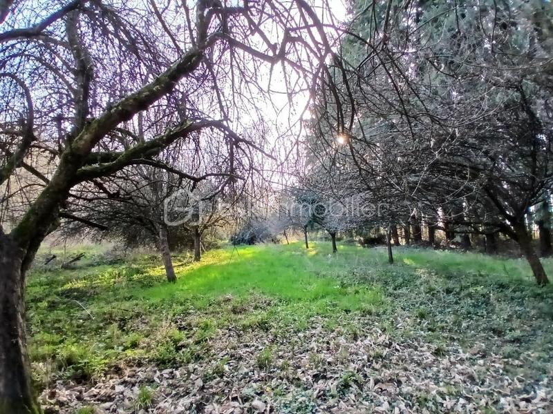 Terrain de loisirs - 10 489 m²