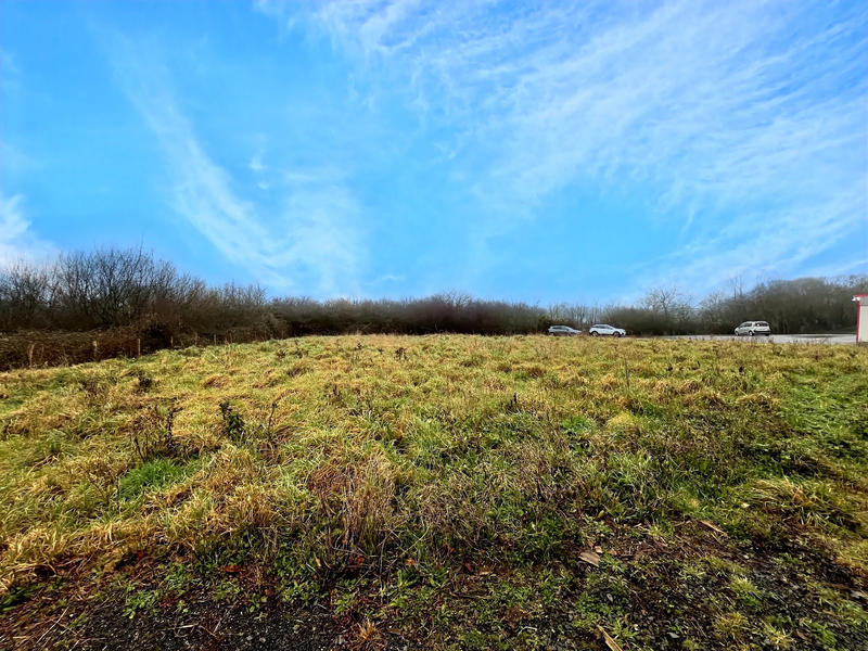 Local d'activités - 580 m²