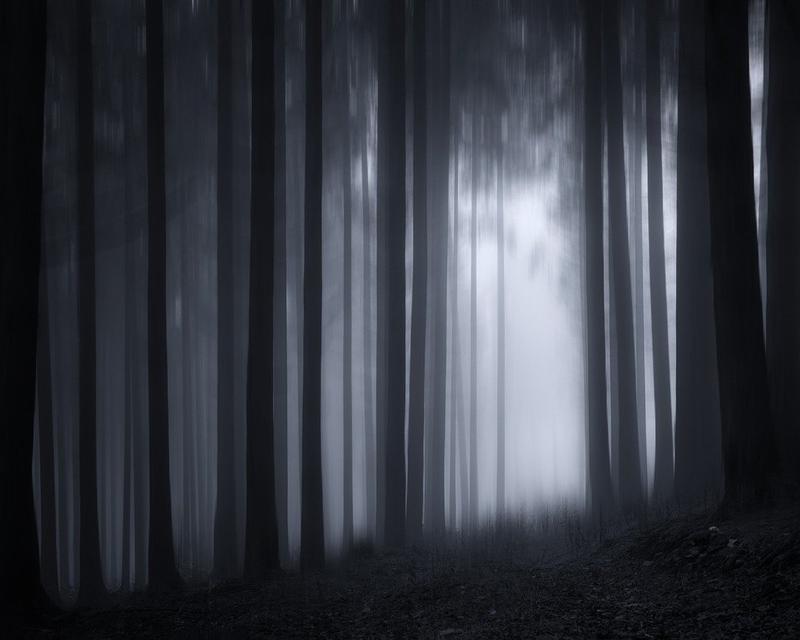 Gretel et Hansel - Collège Donzelot