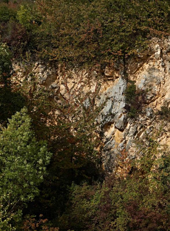 Sentiers Plaisir : la mer des roches