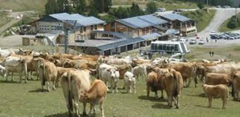 Visite a la Ferme Perrarnaud