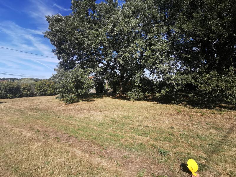 Terrain constructible - 530 m²