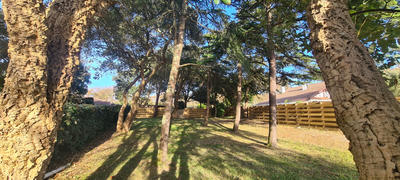 Terrain - 623 m²