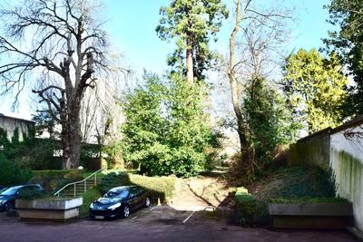 Bureau - 81 m² - 4 pièces