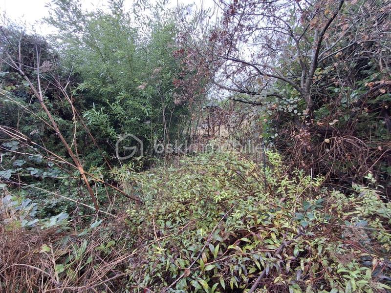 Maison ancienne - 115 m² - 6 pièces