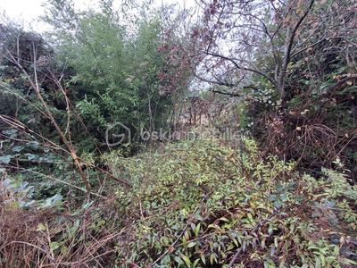 Maison ancienne - 115 m² - 6 pièces