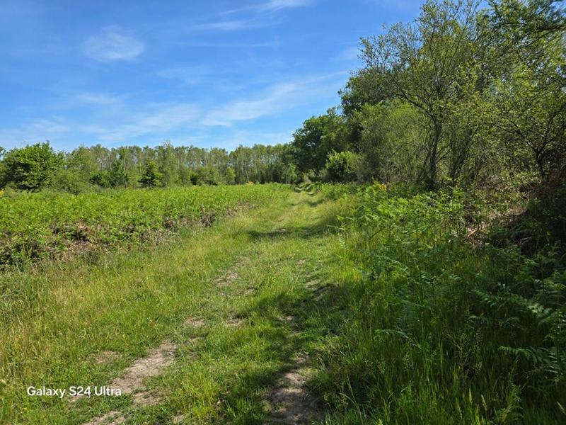 Terrain - 231 782 m²