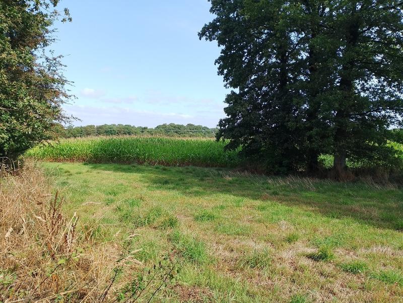 Maison - 63 m² - 2 pièces