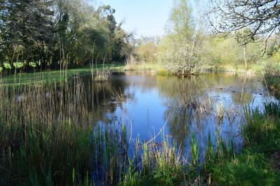 Maison - 74 m² - 5 pièces