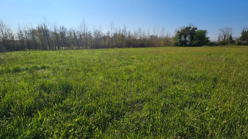 Terrain constructible - 982 m²