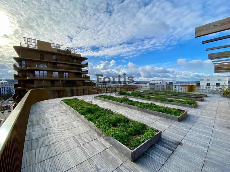 Studio - 33 m² - 1 pièce