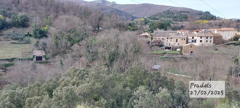 Terrain - 44 972 m²