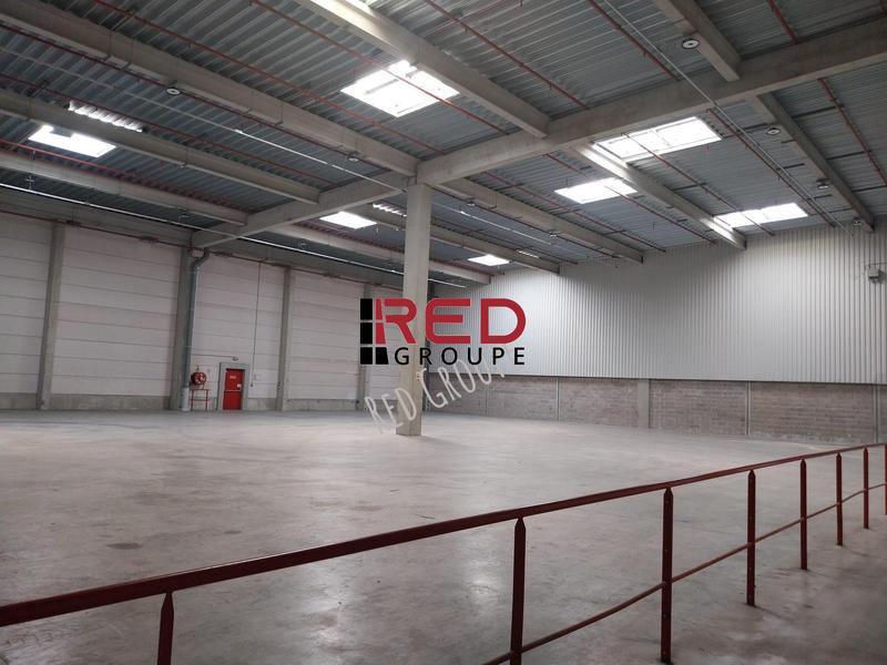 Entrepôt - 1 265 m²
