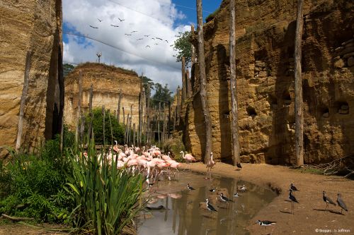 Bioparc - Zoo de Doué-la-Fontaine