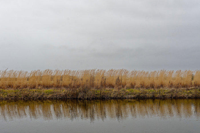 Vernissage de l'exposition &quot;Littoral&quot;