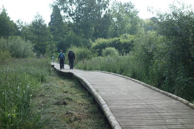Randonnée pédestre à Châtillon-sur-Cher