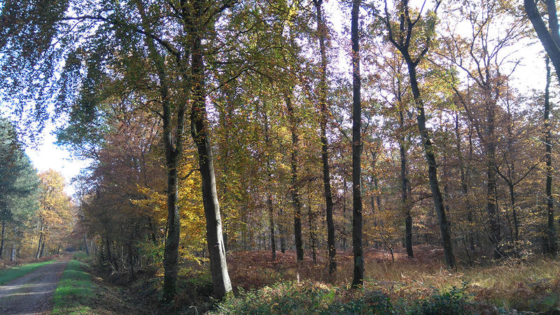 16 avril 2026, Journée de mémoire du Chemin des Dames