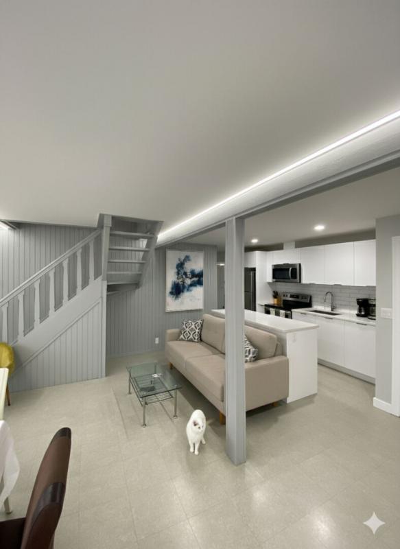 Appartement - 50 m² - 3 pièces