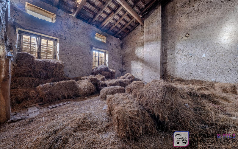 Maison ancienne - 300 m² - 8 pièces