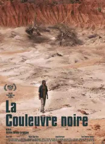 Ciné rencontre à Figeac : la couleuvre noire