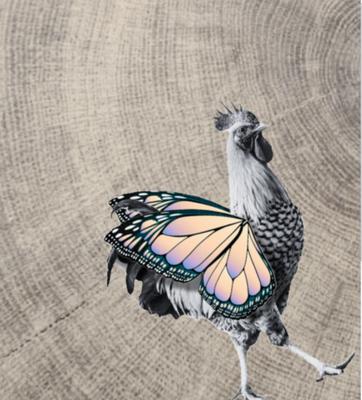 Une chenille dans le coeur