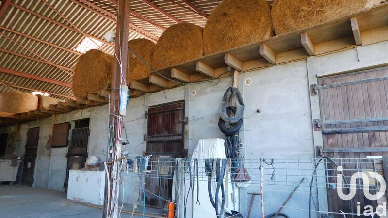 Appartement - 500 m² - 10 pièces