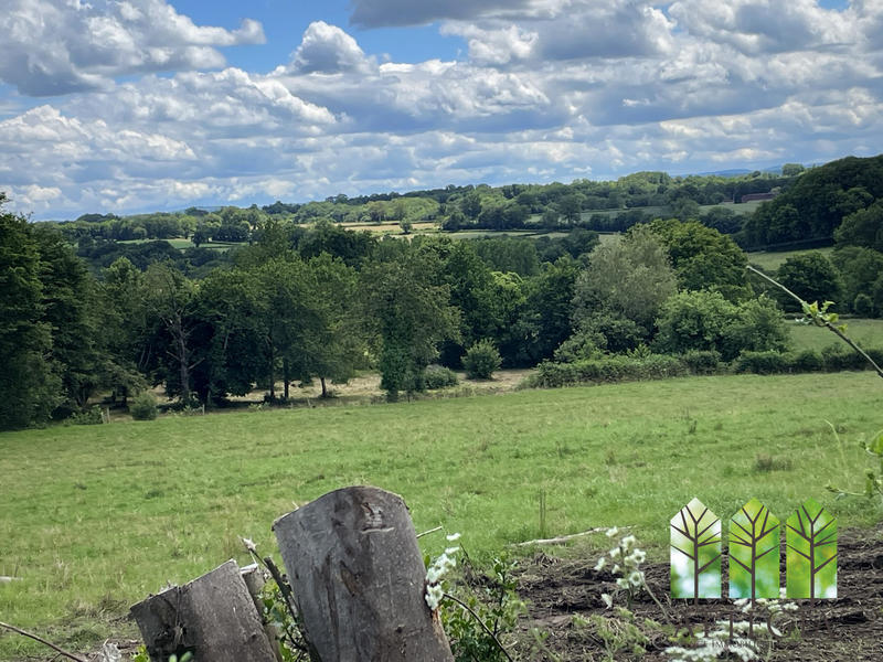 Maison ancienne - 155 m² - 6 pièces