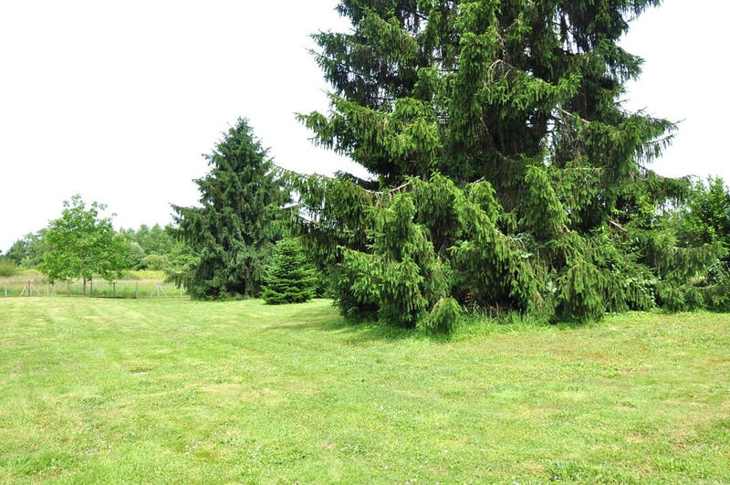 Maison - 209 m² - 6 pièces