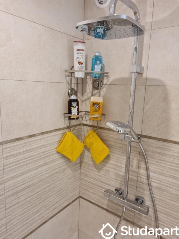 Appartement - 34 m² - 1 pièce