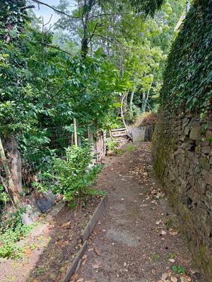 Maison - 304 m² - 11 pièces