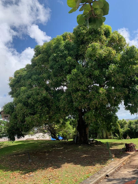 Villa - 190 m² - 7 pièces