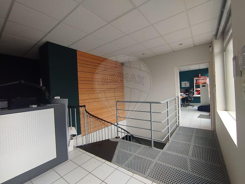 Bureau - 226 m² - 6 pièces