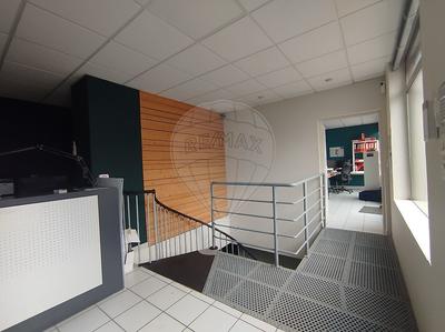 Bureau - 226 m² - 6 pièces