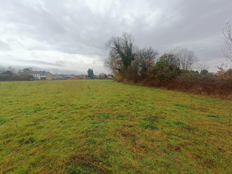 Terrain - 11 770 m²