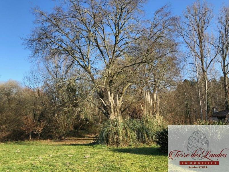 Propriété - 291 m² - 7 pièces