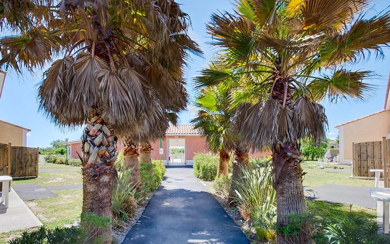 Duplex - 32 m² - 2 pièces