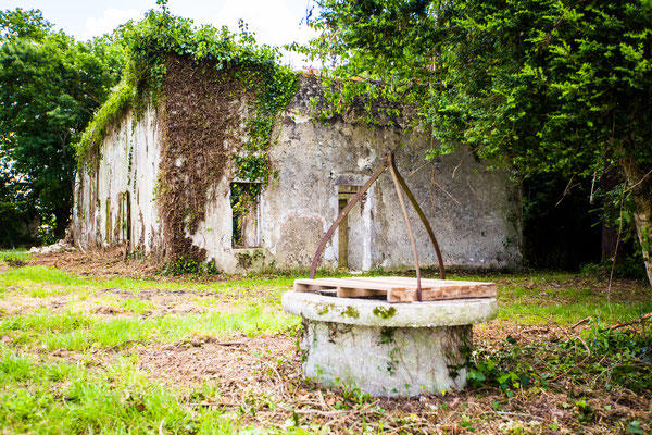 Exposition Marguerite Duras : Toute une vie j'ai écrit