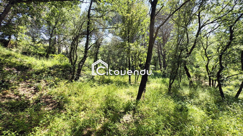 Terrain - 1 831 m²