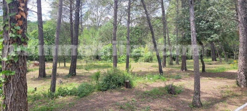 Maison traditionnelle - 152 m² - 6 pièces