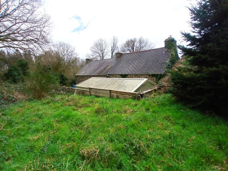 Maison en pierre - 53 m² - 3 pièces