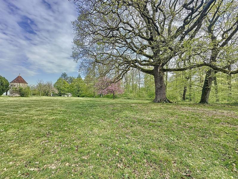 Propriété - 481 m² - 12 pièces