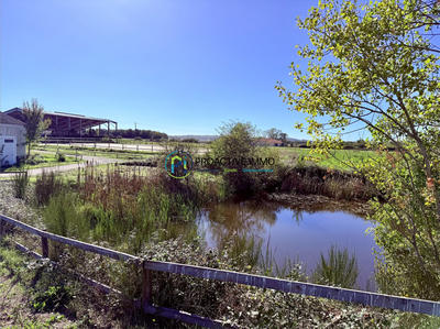 Maison ancienne - 130 m² - 4 pièces