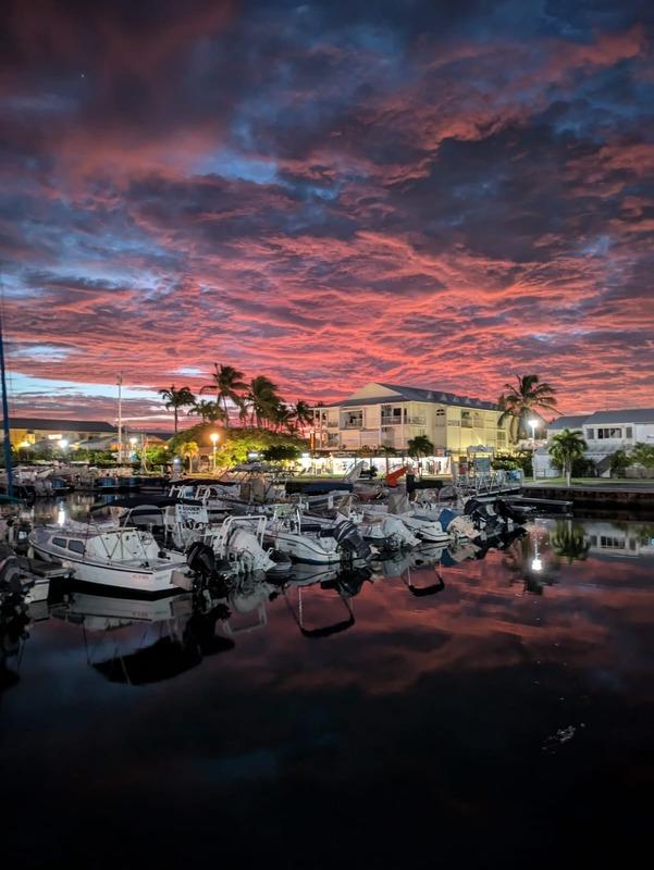 Appartement - 40 m² - 1 pièce