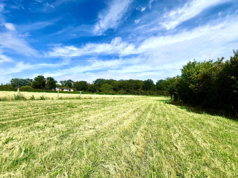 Terrain constructible - 1 703 m²