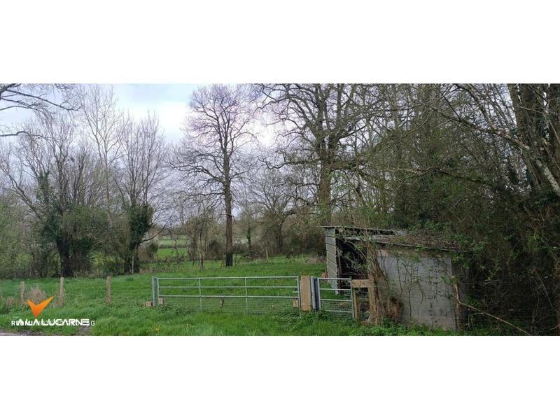 Maison en pierre - 74 m² - 4 pièces