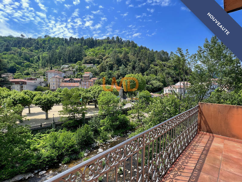 Hôtel particulier - 195 m² - 15 pièces