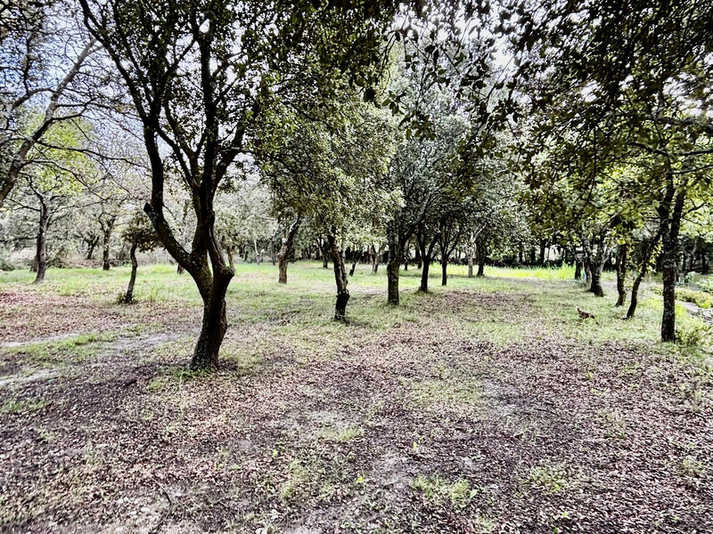 Villa - 116 m² - 5 pièces