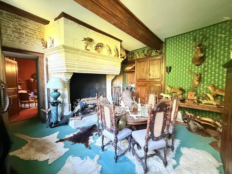 Maison - 450 m² - 14 pièces