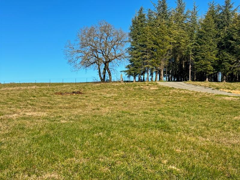 Local d'activité / Entrepôt - 240 m² - 1 pièce