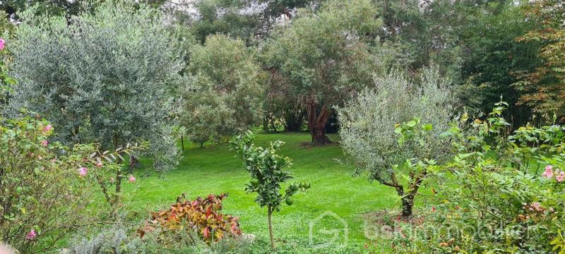 Maison - 155 m² - 5 pièces